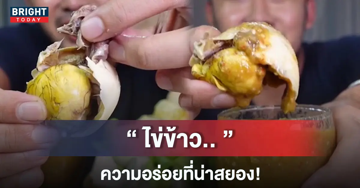ไข่ข้าว-หน้าปกใหม่