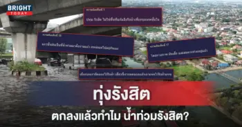 .jpg