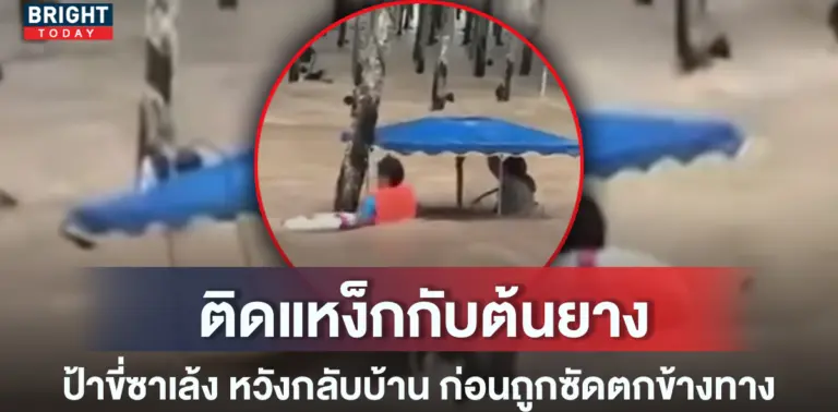 น้ำท่วมระยอง