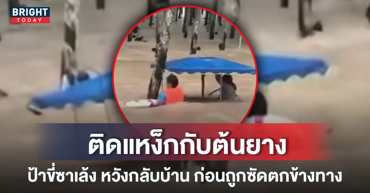 น้ำท่วมระยอง