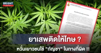 กัญชา