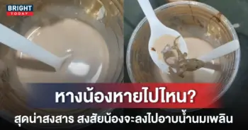 ชานมไข่มุก