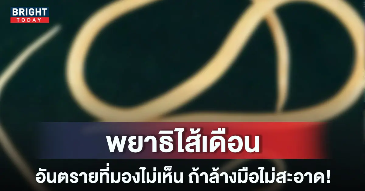 พยาธิไส้เดือน-หน้าปกใหม่