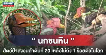 -หน้าปกใหม่-1