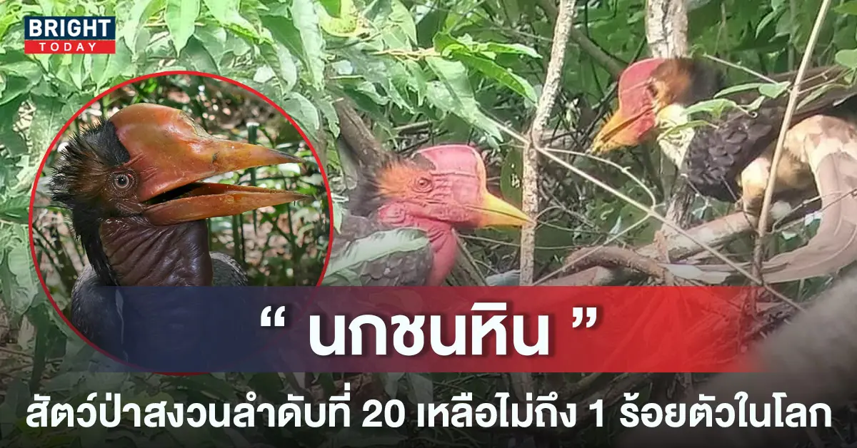 -หน้าปกใหม่-1