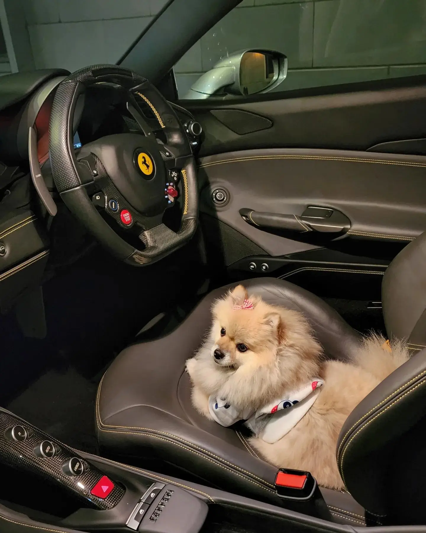 นิกกี้-ณฉัตร-2