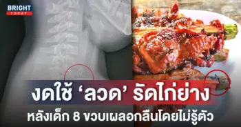 หน้าปกใหม่-ลวดรัดไก่
