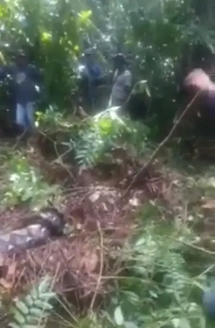 หญิงสาวหายตัวในสวนยาง-1