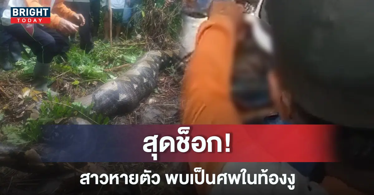 หญิงสาวหายตัวในสวนยาง