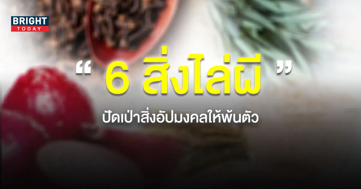 ต้นไม้ไล่ผี-1