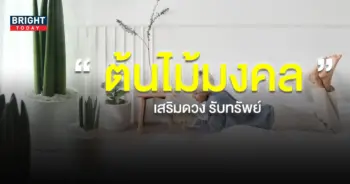 ต้นไม้มงคล-เสริมดวง-รับทรัพย์-1