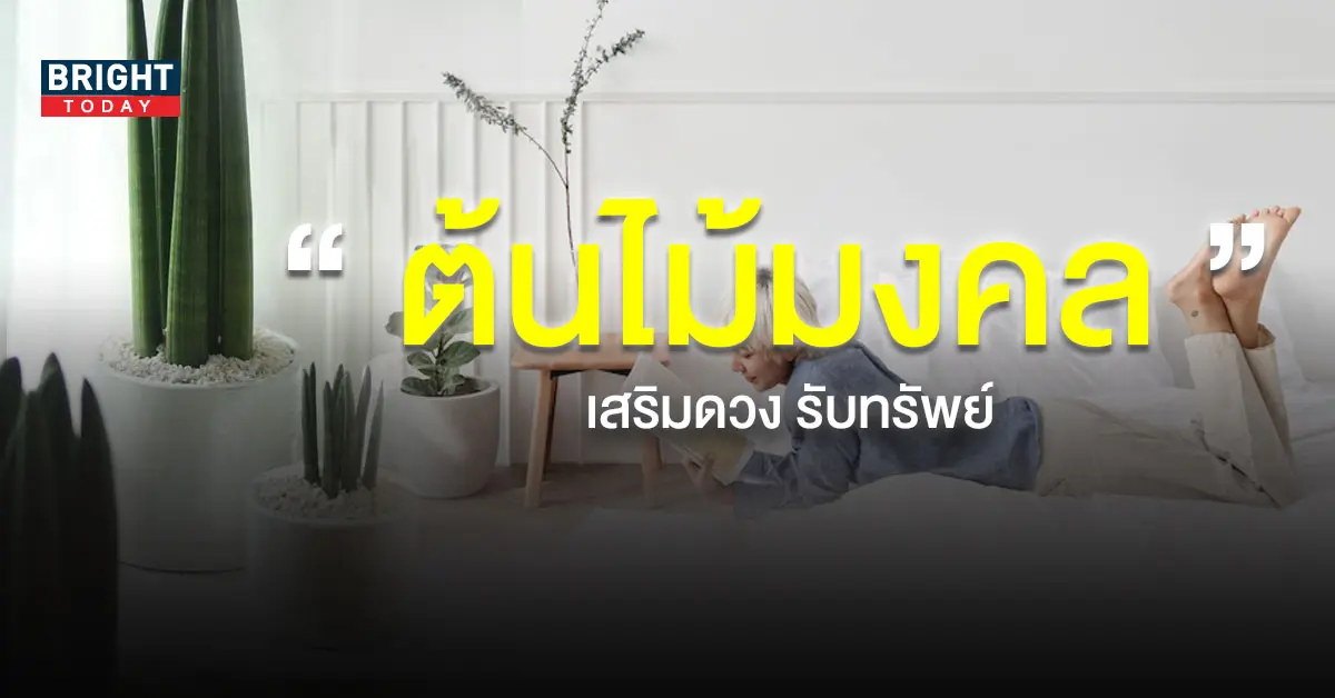 ต้นไม้มงคล-เสริมดวง-รับทรัพย์-1