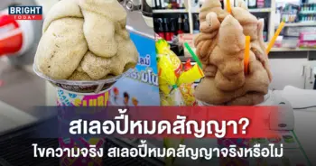 สเลอปี้หมดสัญญากับเซเว่น