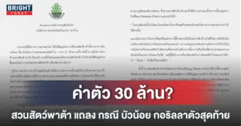 4พาต้าแถลง