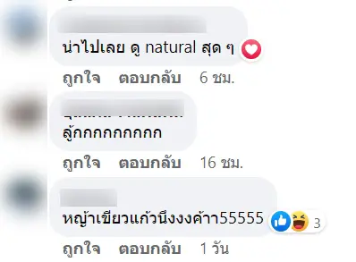 วัวเข้าคาเฟ่-3