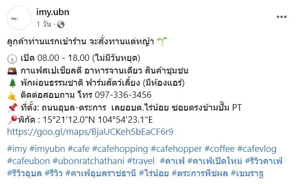 วัวเข้าคาเฟ่-2