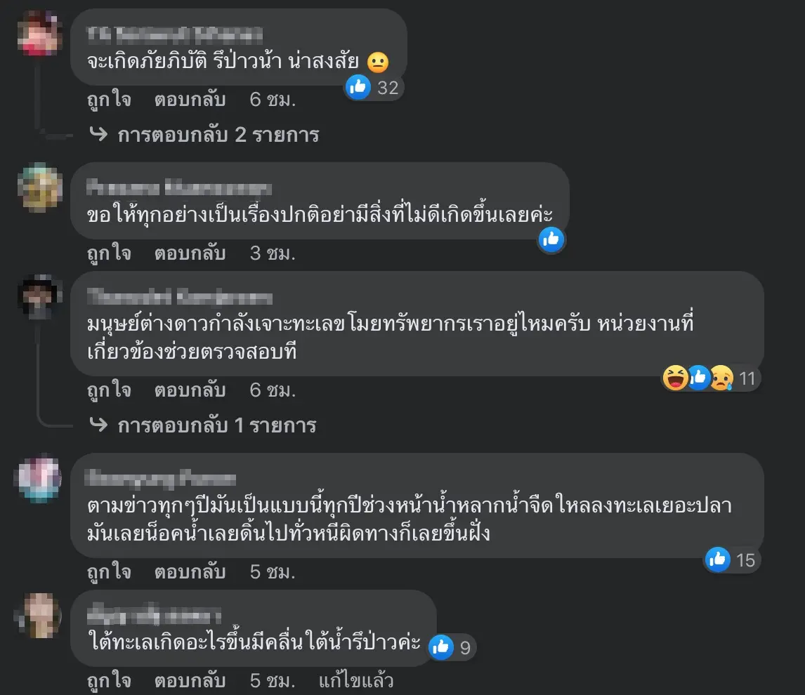 ปลาเกยตื้นบางแสน1