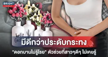 7บานไม่รู้โรย