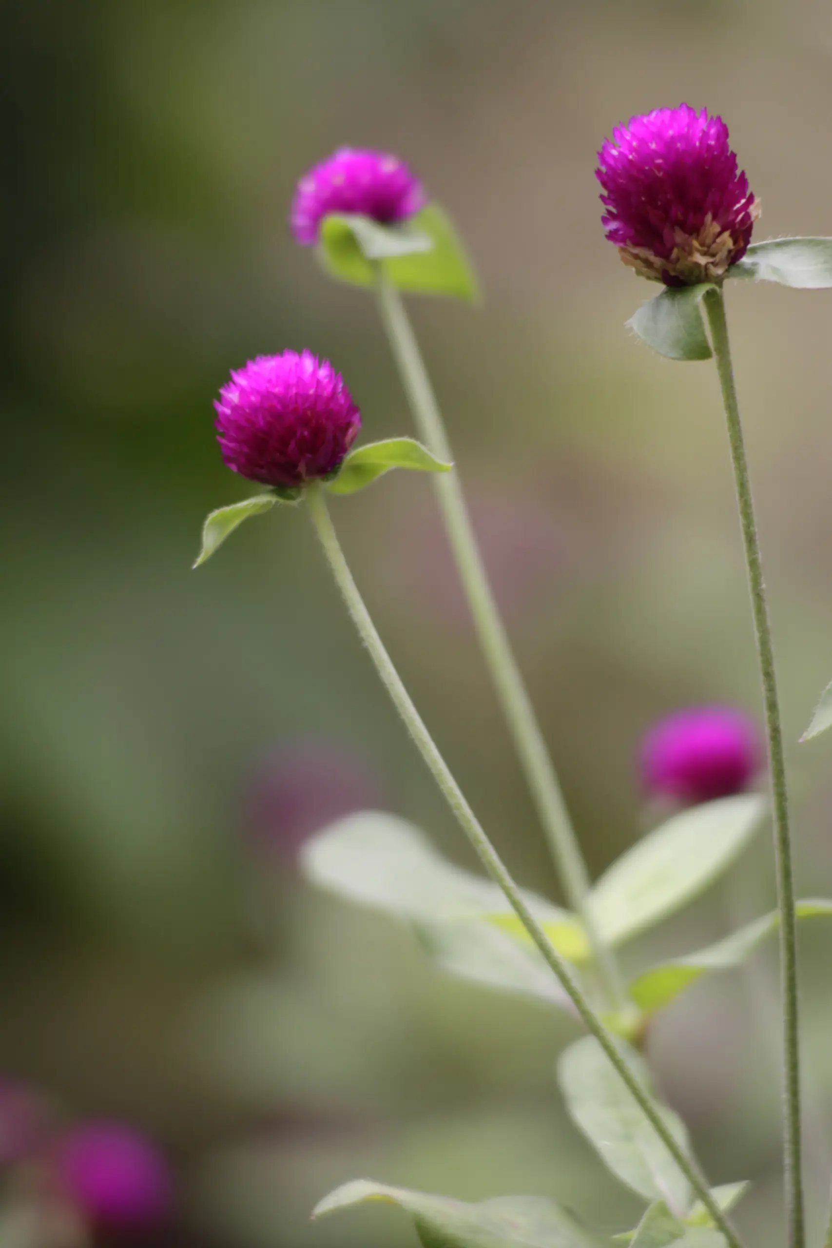 binh-dang-nam-jIqr0zOxAmE-unsplash