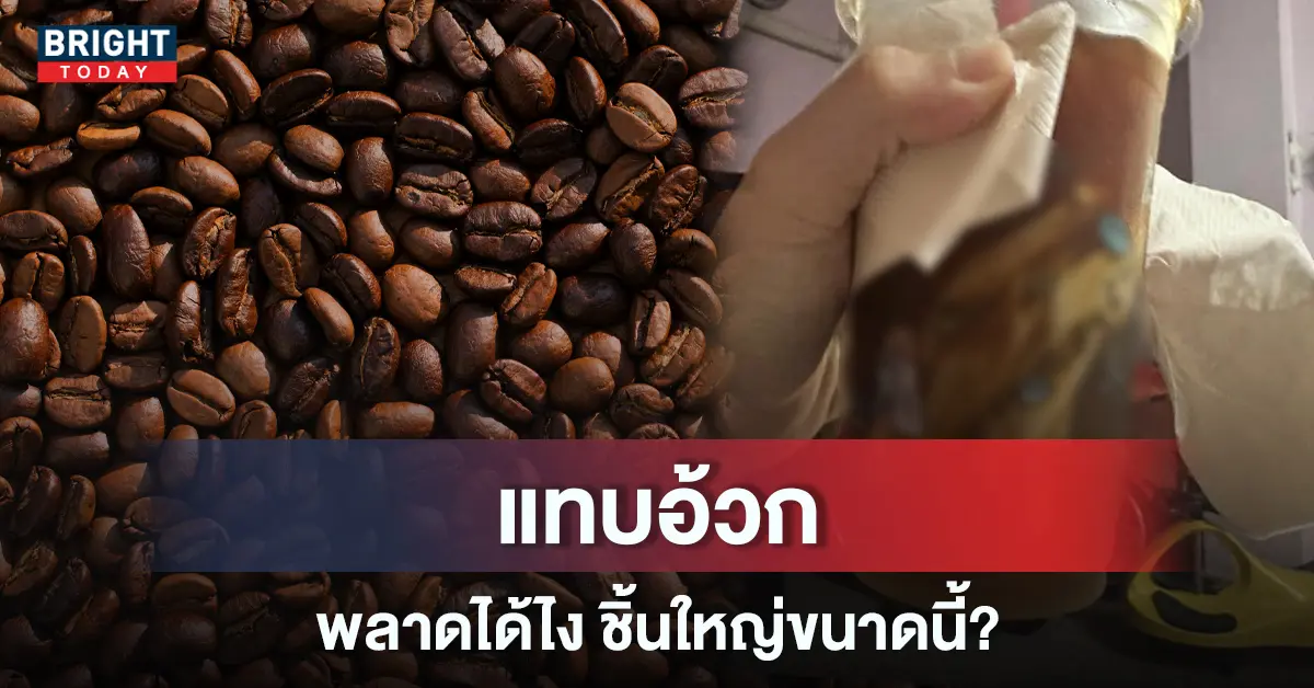 ร้านกาแฟดัง