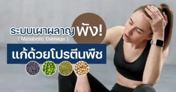 ปกเบเน่ฟิต1