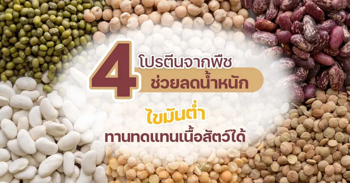 เบเน่3