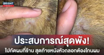 หน้าปกใหม่-ร้านทำผมทำผมขาด