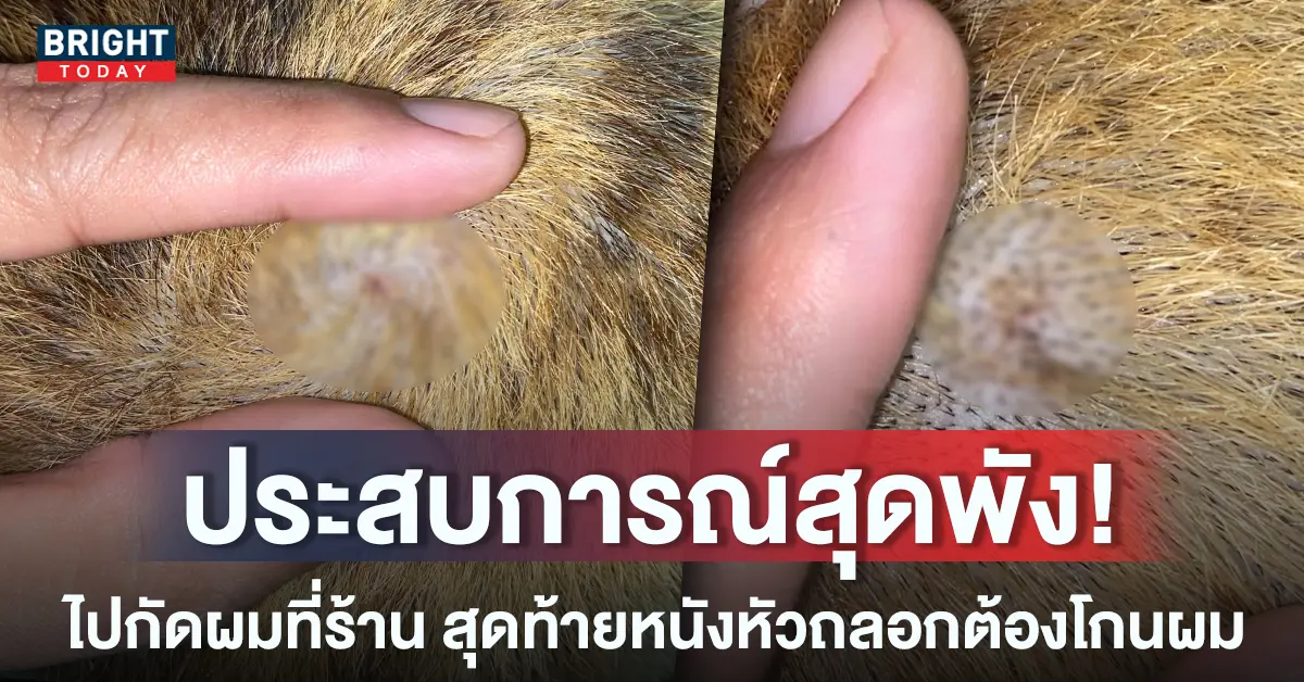 หน้าปกใหม่-ร้านทำผมทำผมขาด