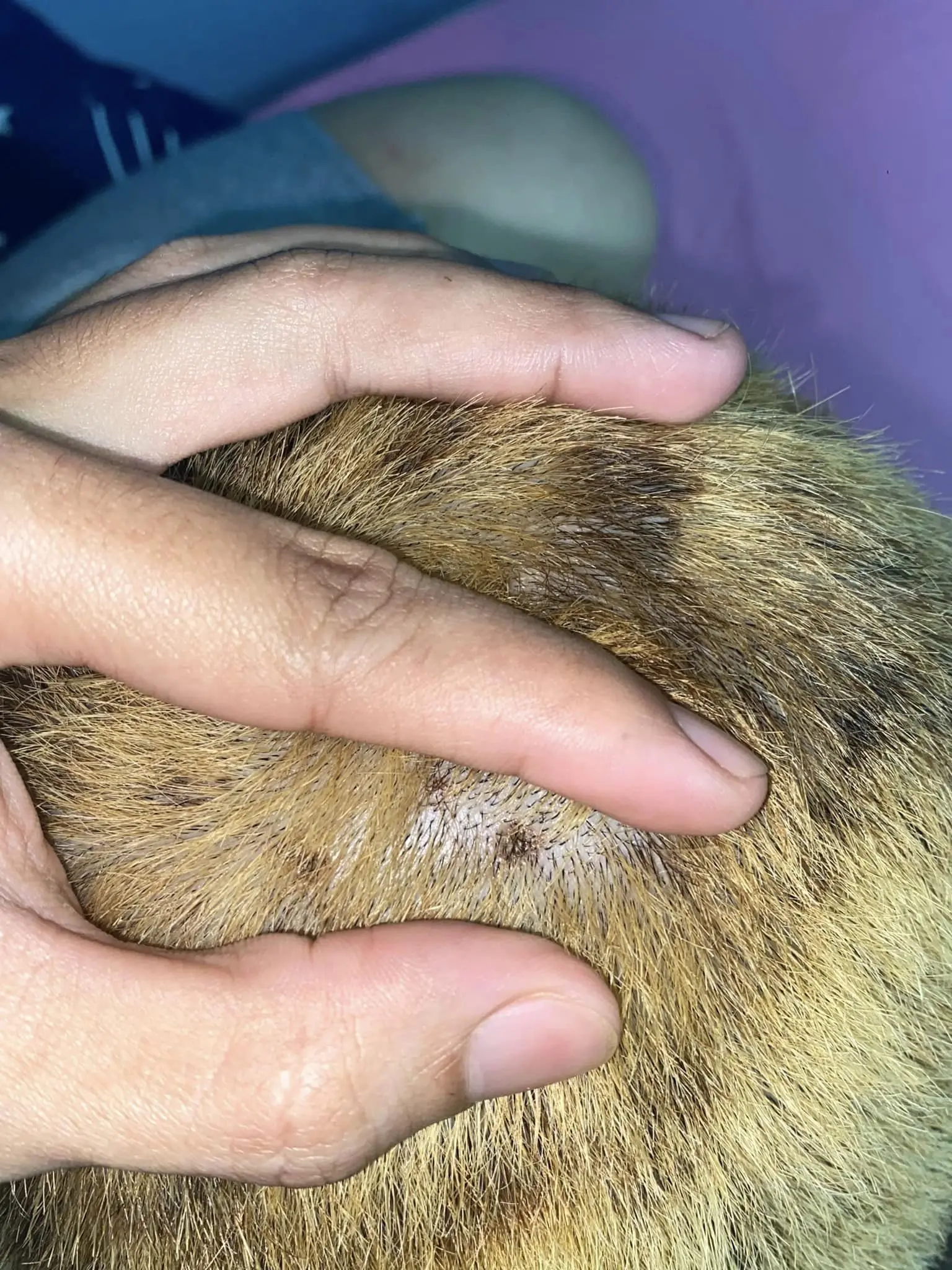 ร้านทำผมทำผมขาด-2