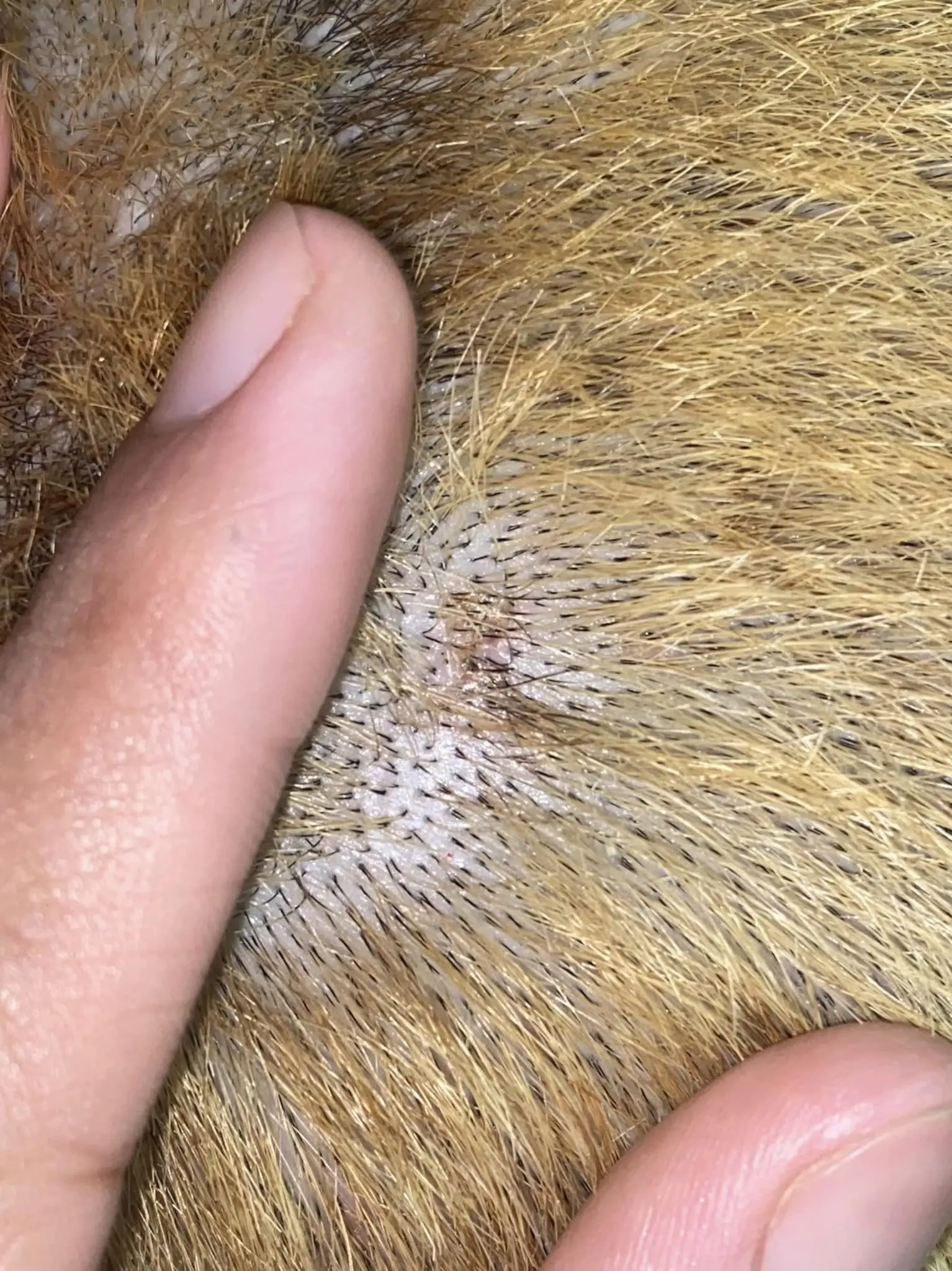 ร้านทำผมทำผมขาด