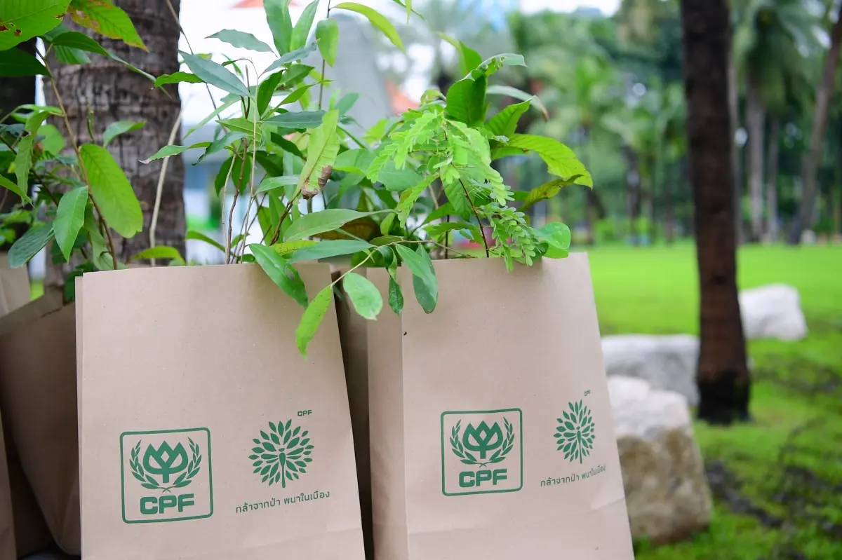 CPF-กล้าจากป่า-พนาในเมือง-11
