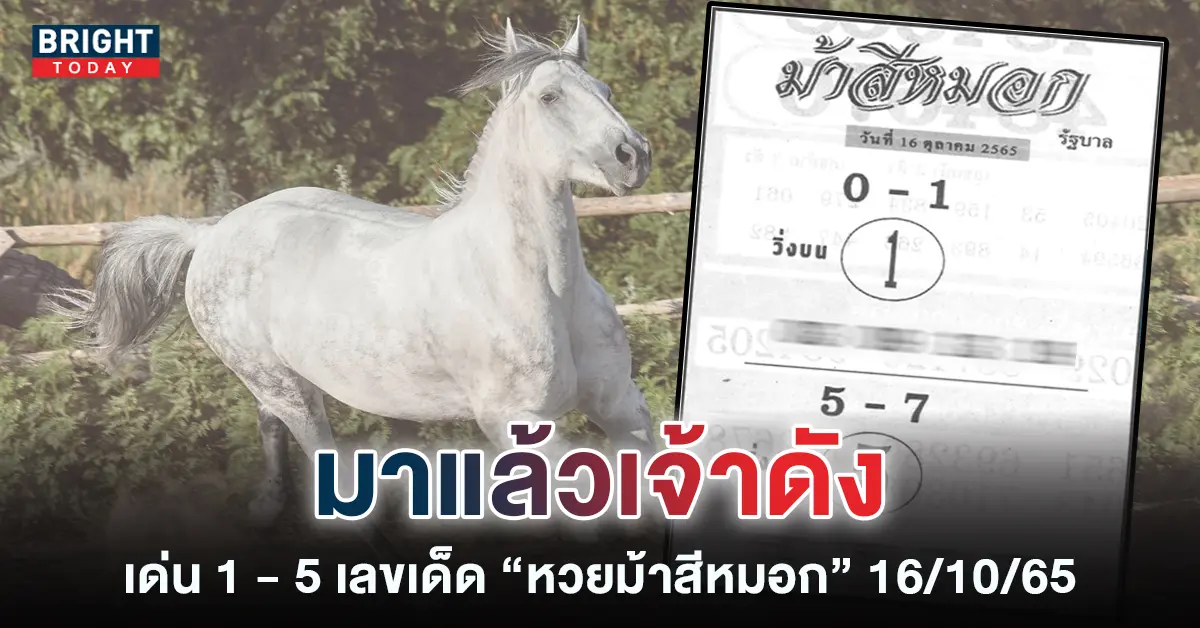 หวยงวดนี้-16-10-65-หวยม้าสีหมอกล่าสุด-วิ่งบน-1-วิ่งล่าง-5-1
