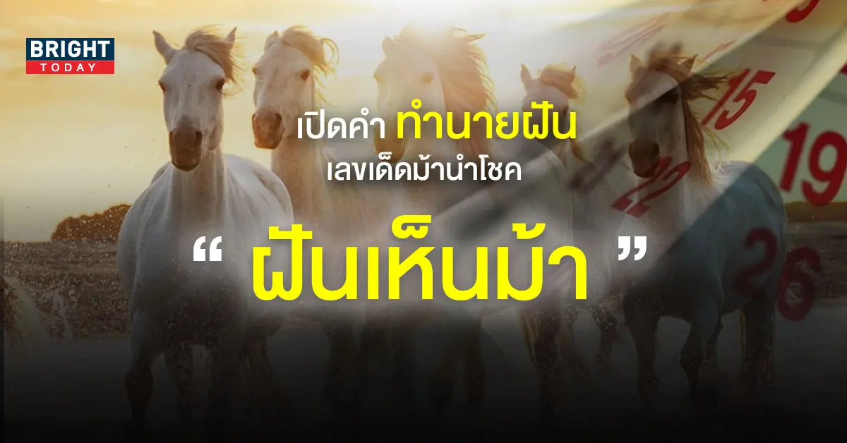 ทำนายฝัน-ฝันเห็นม้า