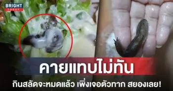 หน้าปกใหม่-เจอตัวทากในสลัด