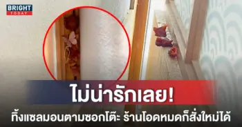 หน้าปกใหม่-ทิ้งแซลมอน