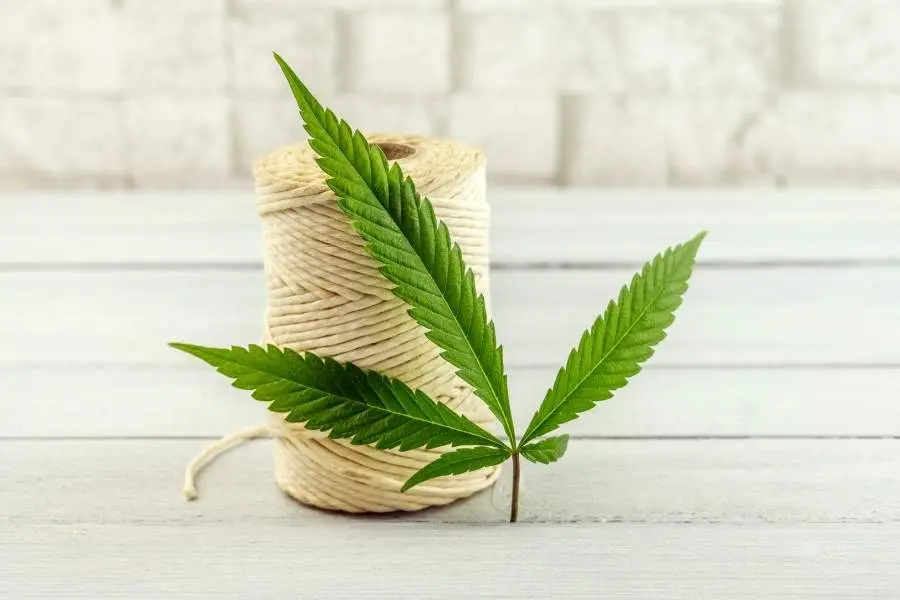 Hemp
