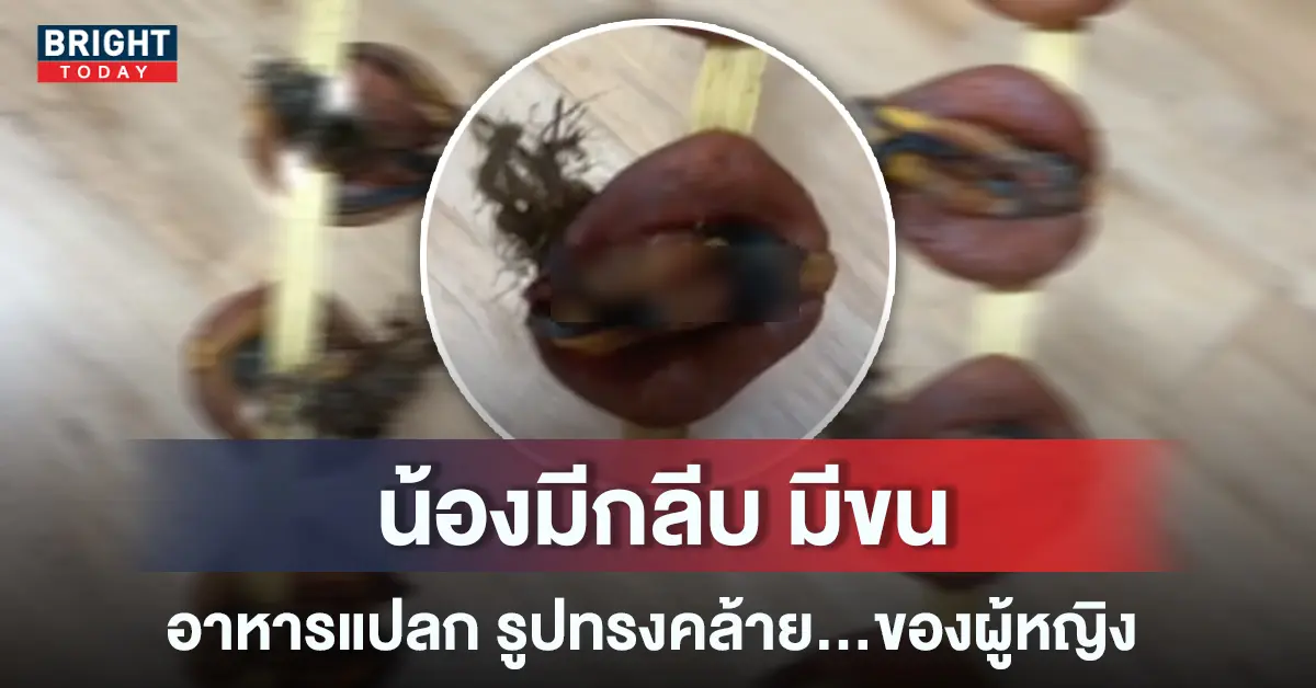 หอยย่าง