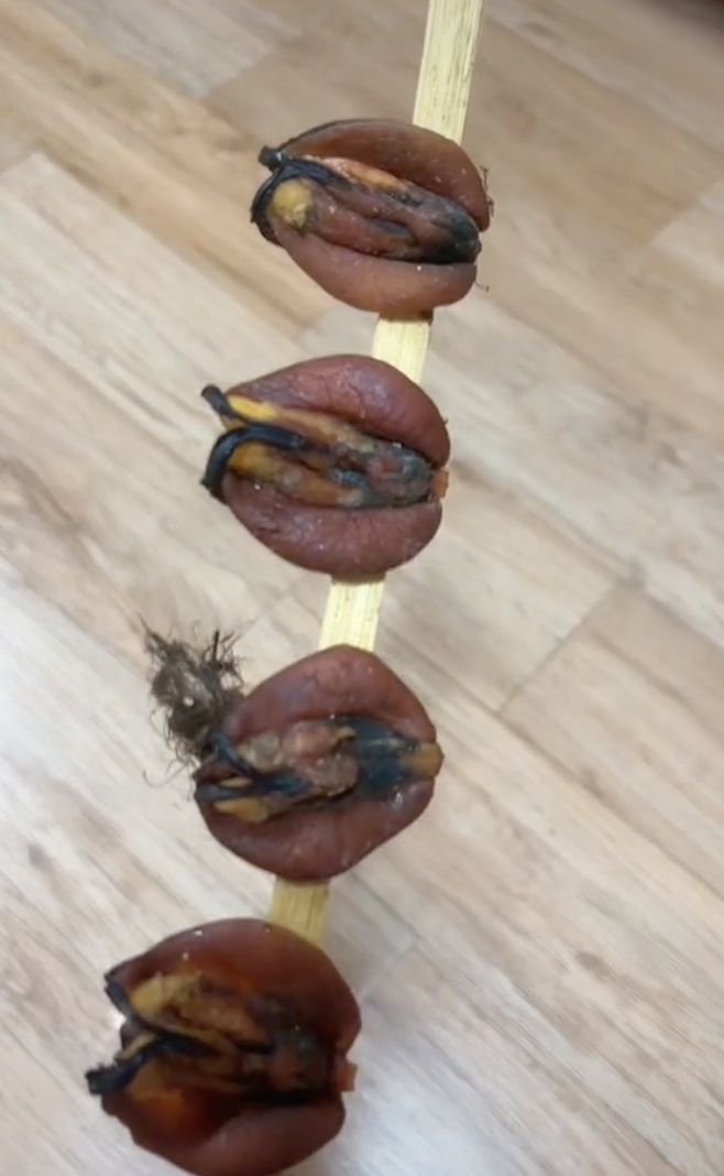 หอยย่าง
