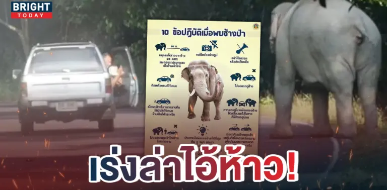 -เร่งล่า-ชายยั่วช้างป่า-1