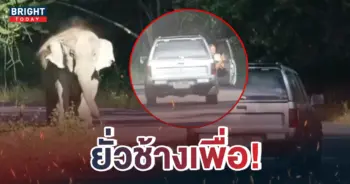 หน้าปกใหม่-ขับรถยั่วช้างป่า-1