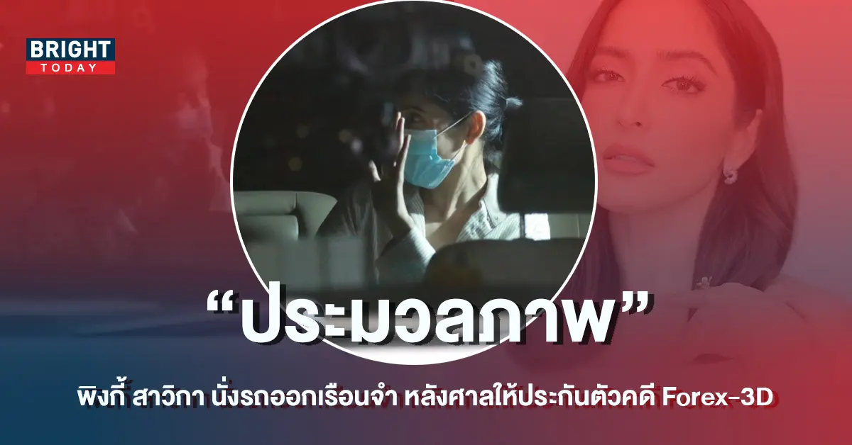 พิ้งกี้-ภาพ