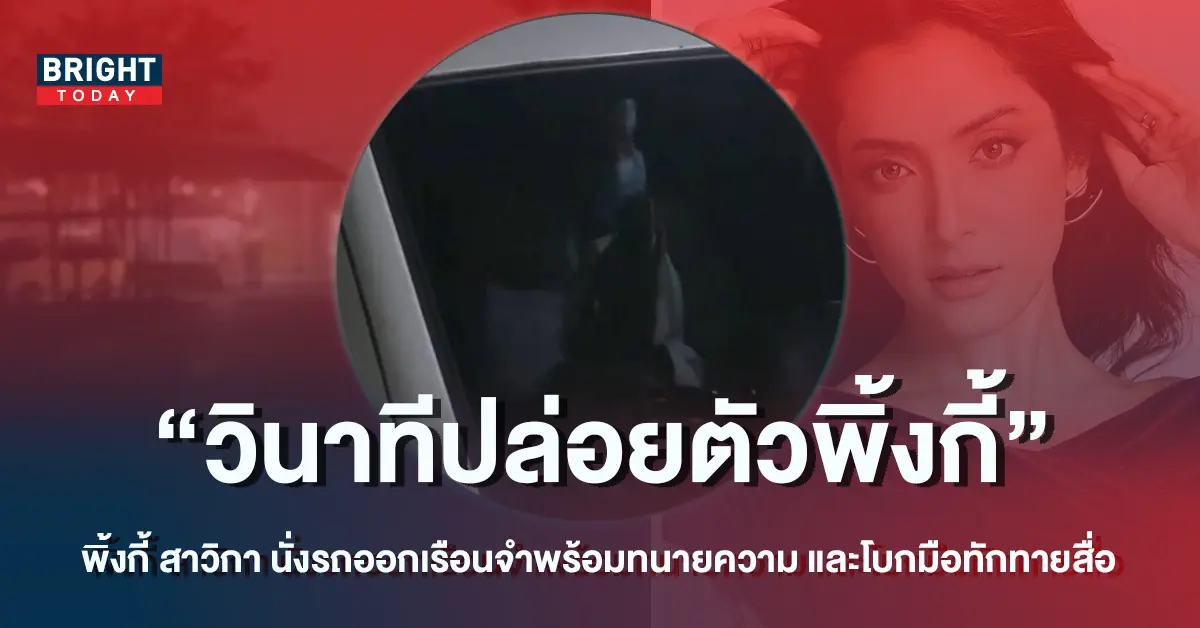 พิ้งกี้-1-3