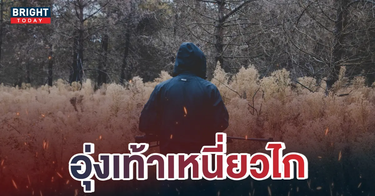 สุนัขยิงเจ้าของ