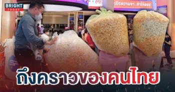 5ป๊อปคอน