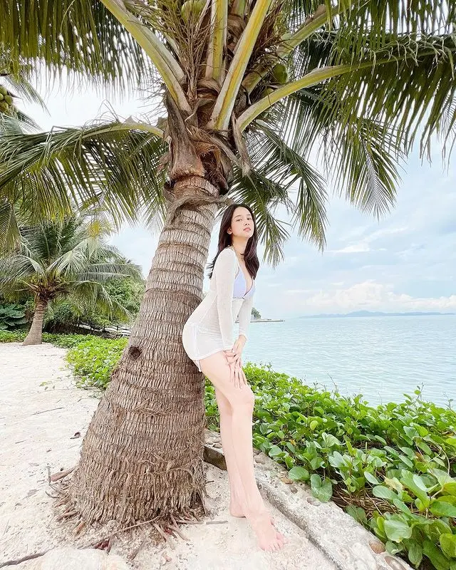โม-อมีนา-4