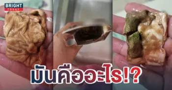 หน้าปกใหม่-ก้อนในกล่องนม