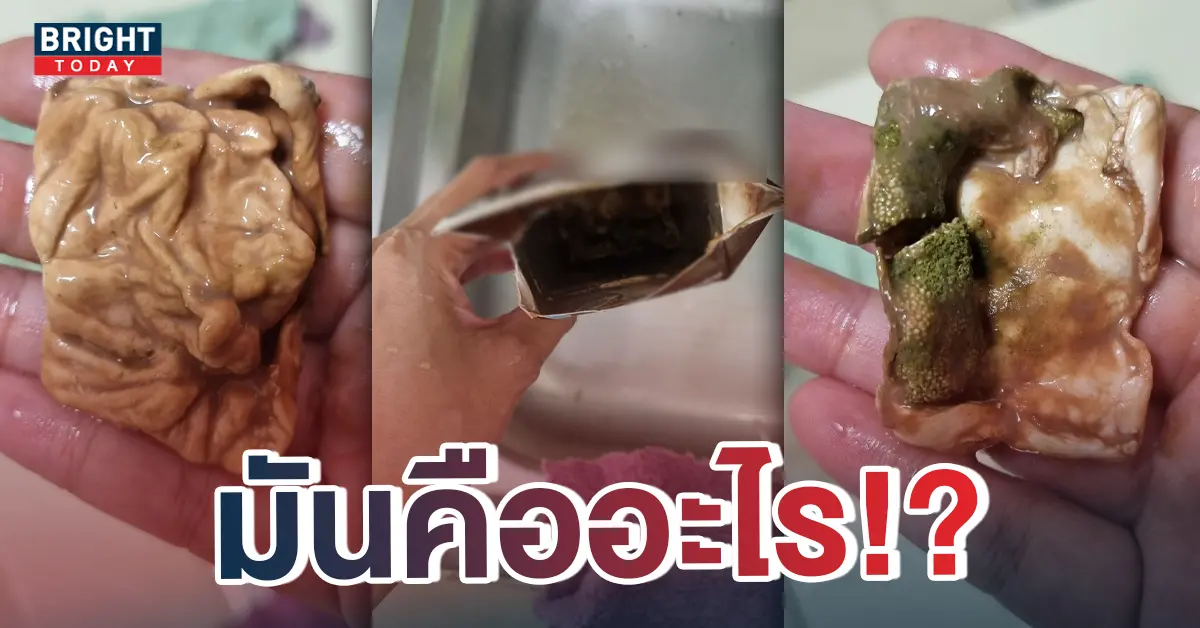 หน้าปกใหม่-ก้อนในกล่องนม