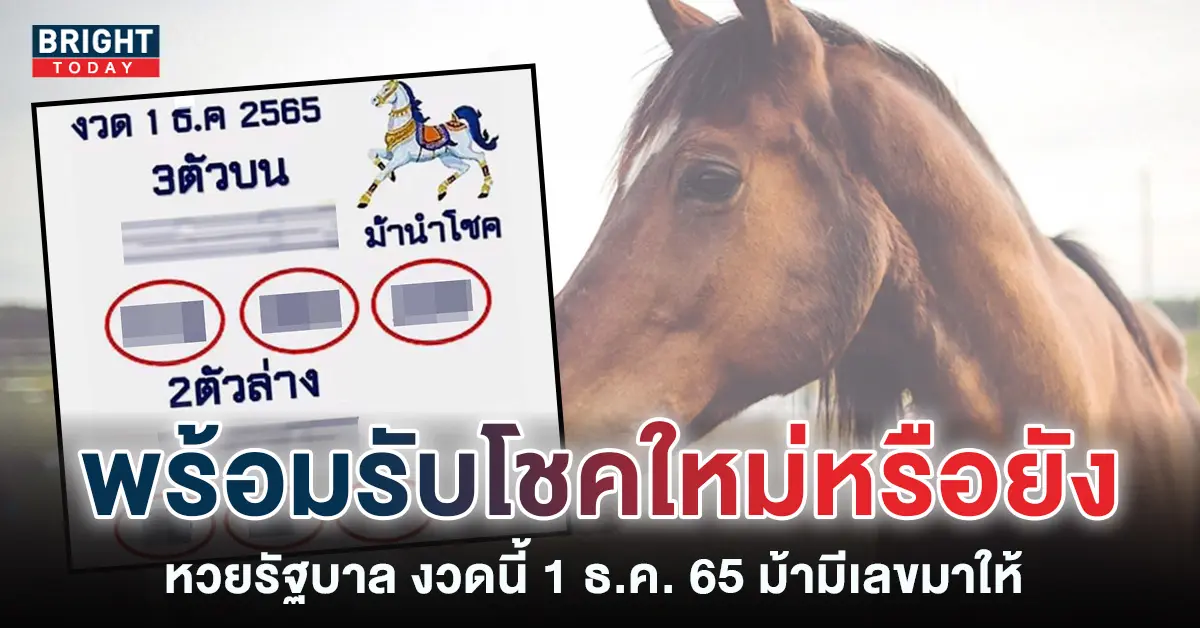 เลขเด็ดงวดนี้-หวยม้านำโชค-หวยรัฐบาล-1-12-65-1