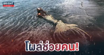 นักดำน้ำสลบกลางทะเล