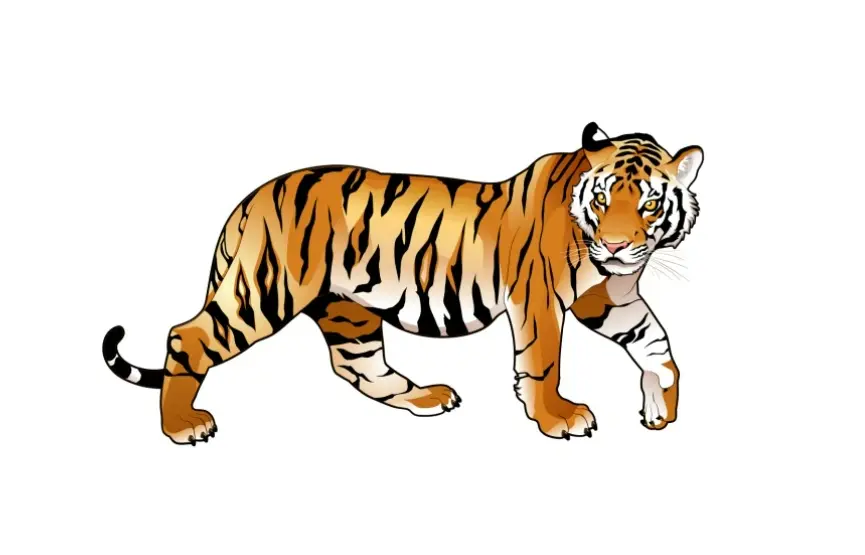 ปีชง-2566-ปีขาล